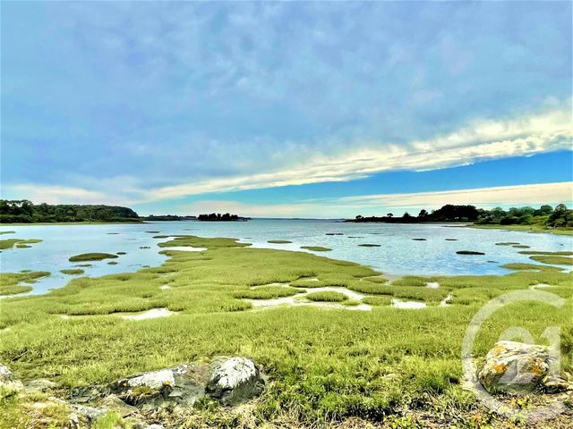 Maison &agrave; vendre - 7 pi&egrave;ces - 225 m2 - Sene - 56 - BRETAGNE